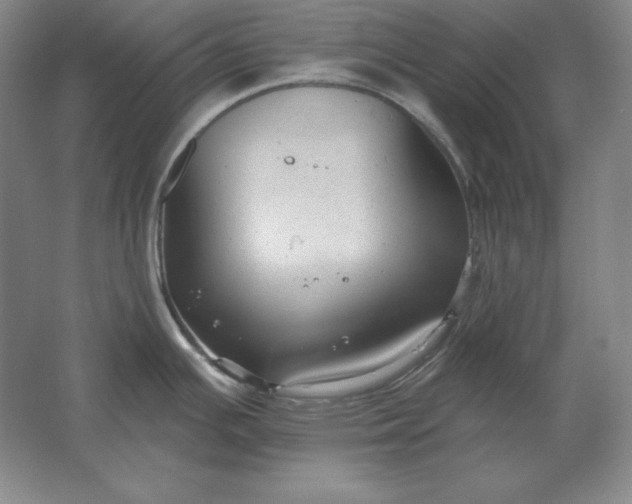 X0000061731391200512161610