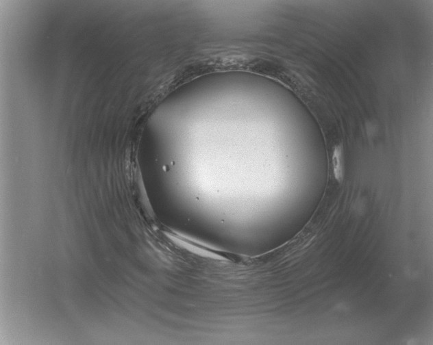 X0000061731395200512161609