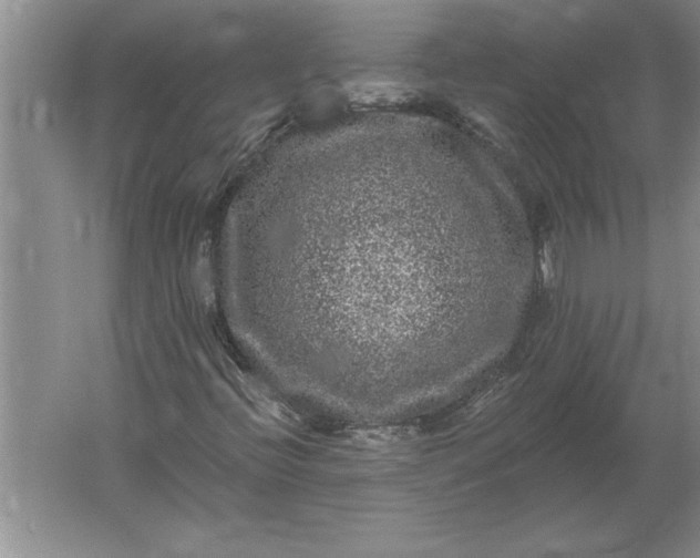 X0000061731396200512161609