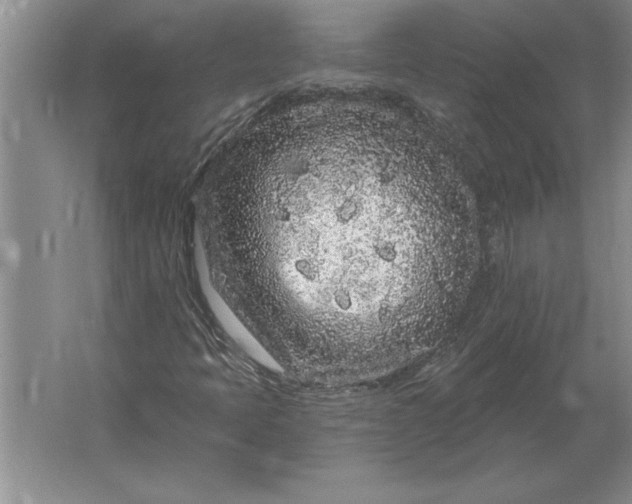 X0000061731397200512161609