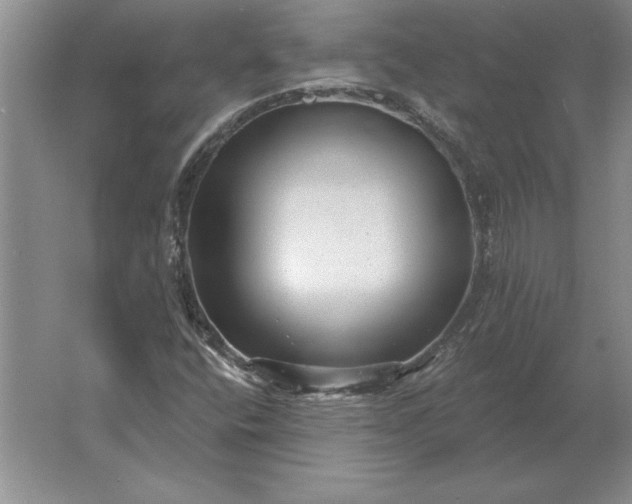 X0000061731400200512161609