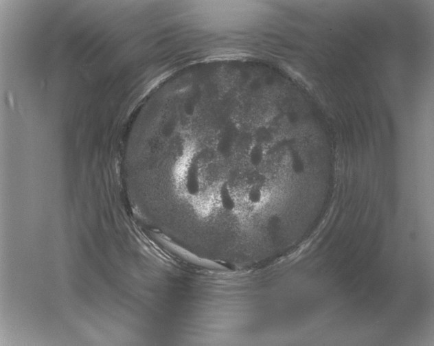 X0000061731401200512161609