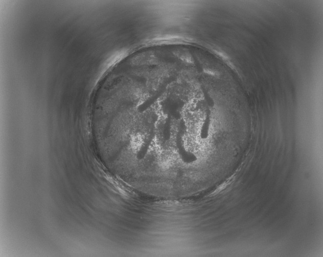 X0000061731405200512161610