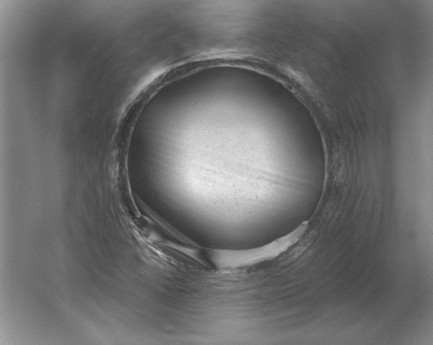 X0000061731406200512161610