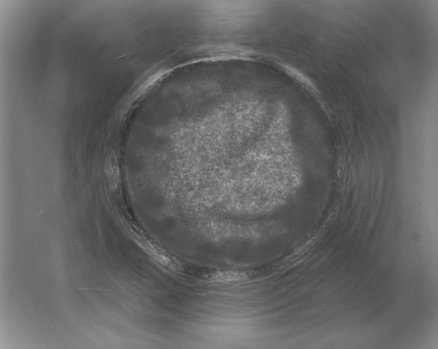 X0000061731407200512161610