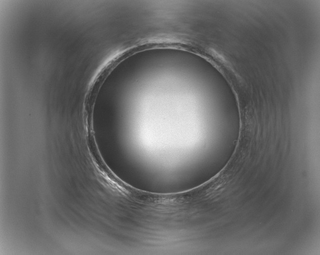 X0000061731408200512161610