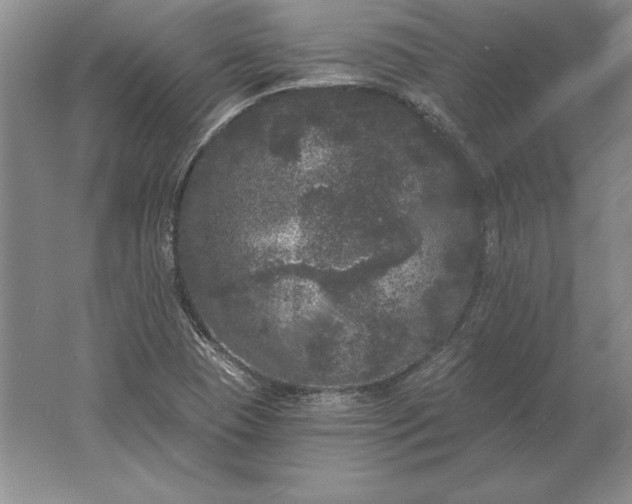 X0000061731409200512161610