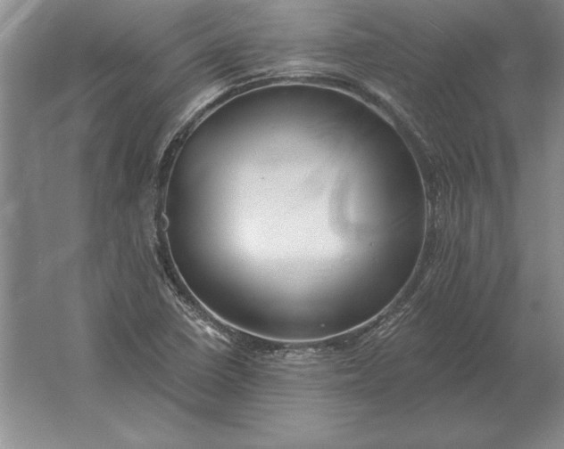 X0000061731410200512161610