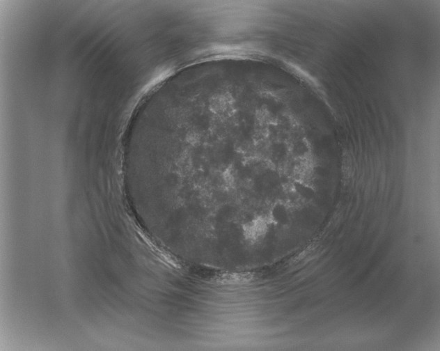 X0000061731411200512161610