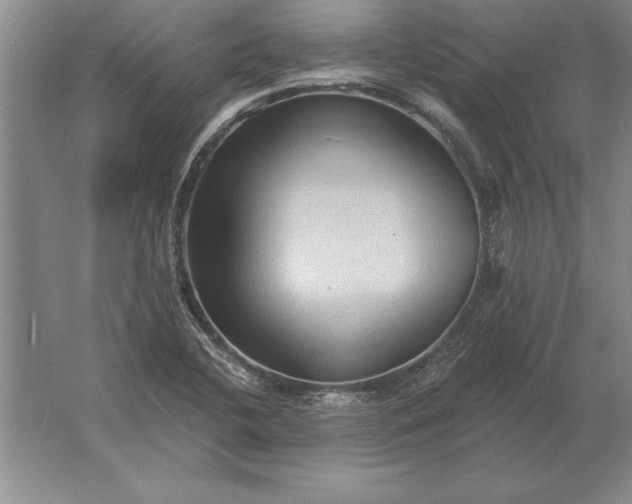 X0000061731412200512161610