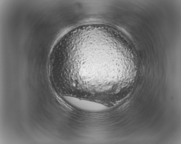 X0000061731413200512161610