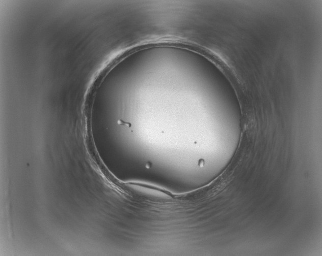 X0000061731414200512161610