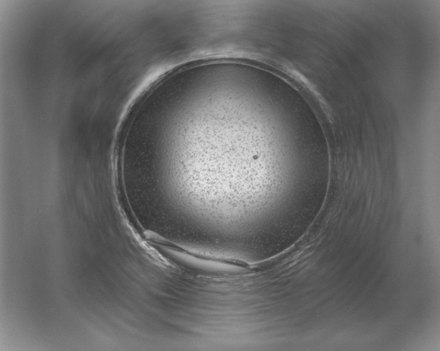 X0000061731416200512161610