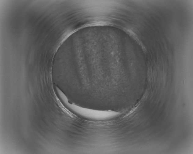 X0000061731417200512161610