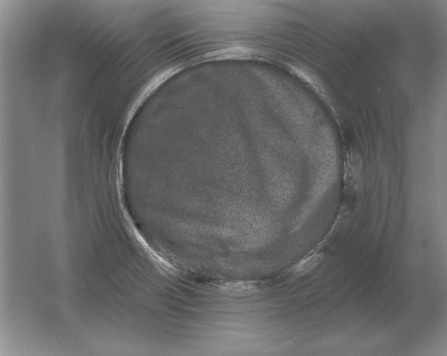 X0000061731418200512161610