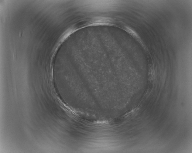 X0000061731419200512161610