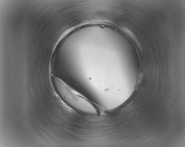 X0000061731420200512161610