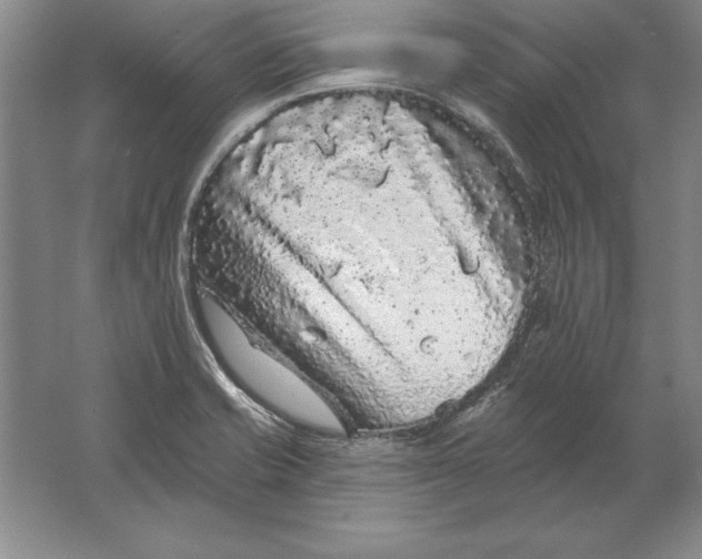 X0000061731421200512161610