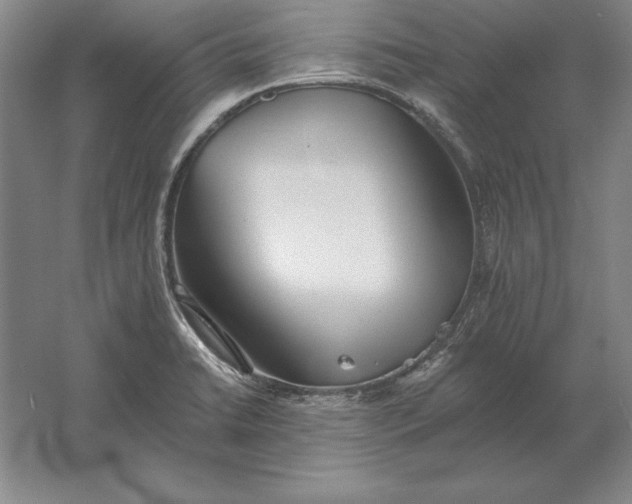 X0000061731422200512161610