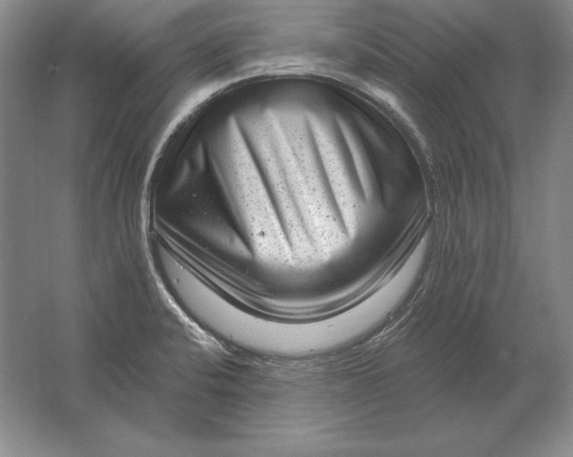 X0000061731424200512161610