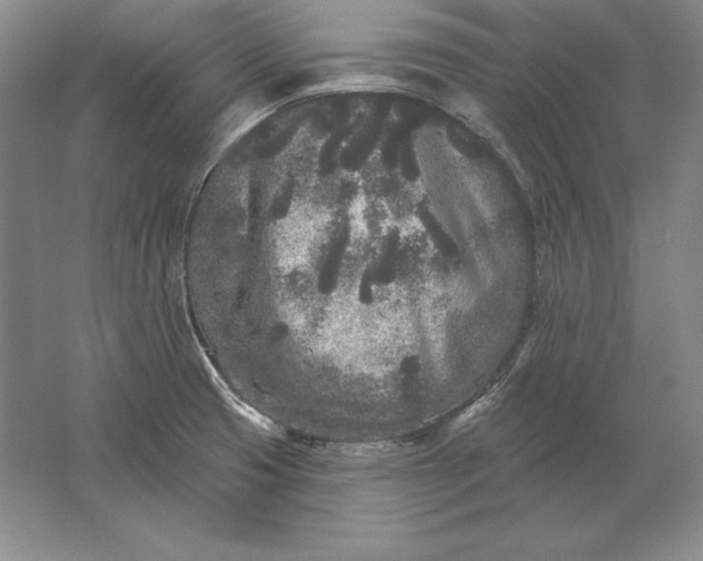 X0000061731425200512161610