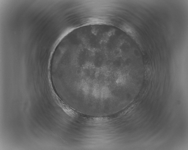 X0000061731427200512161610