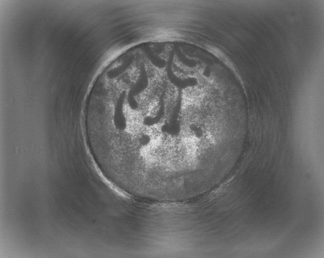 X0000061731429200512161610