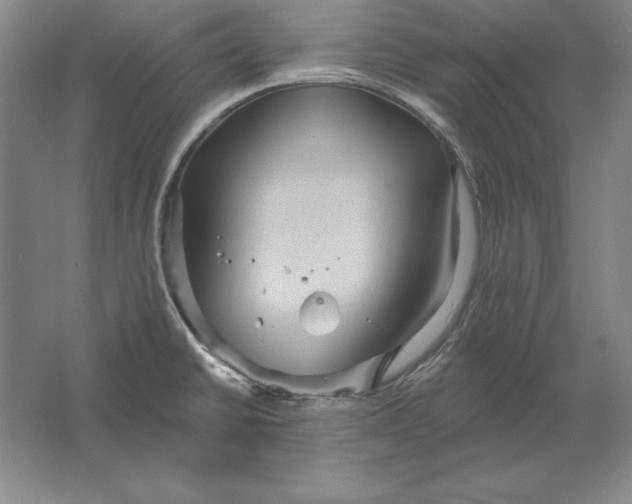 X0000061731430200512161610