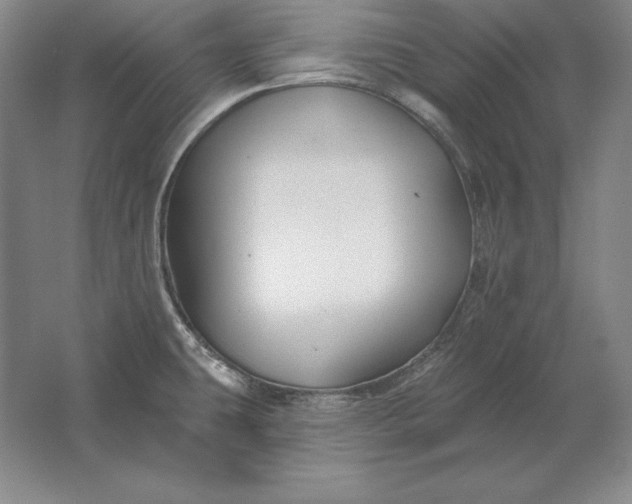 X0000061731431200512161610