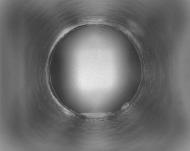 X0000061731432200512161610