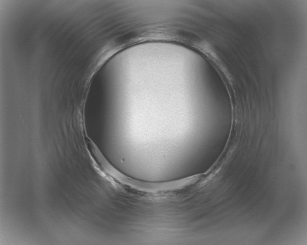 X0000061731433200512161610