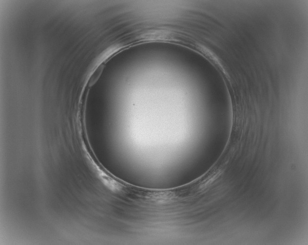 X0000061731434200512161610