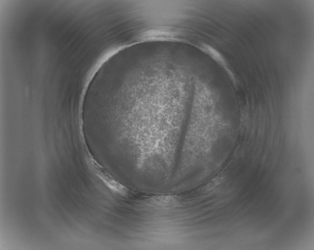 X0000061731435200512161610