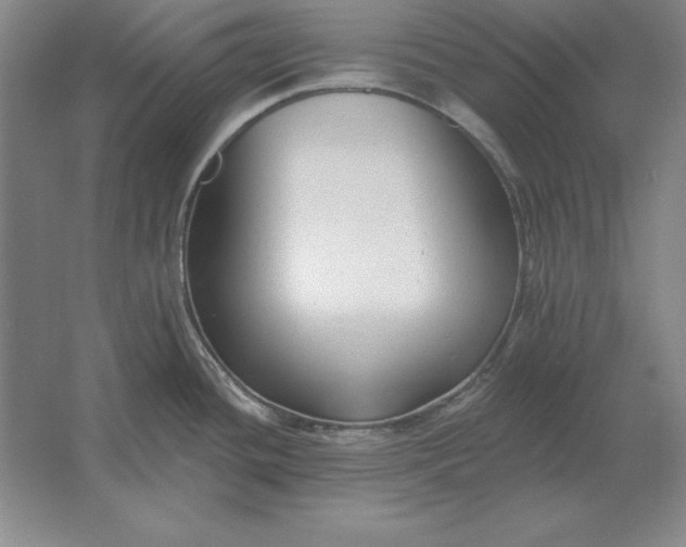 X0000061731436200512161610