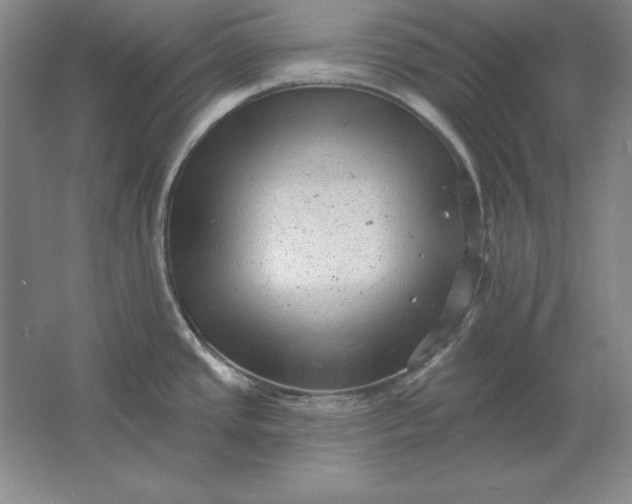 X0000061731437200512161610