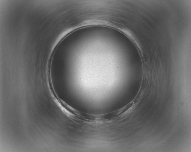 X0000061731438200512161610