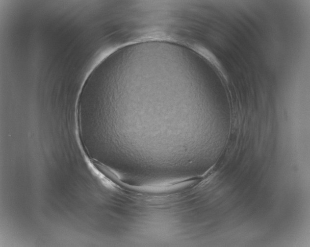 X0000061731439200512161610