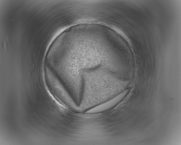 X0000061731440200512161610