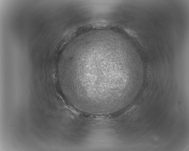 X0000061731445200512161609