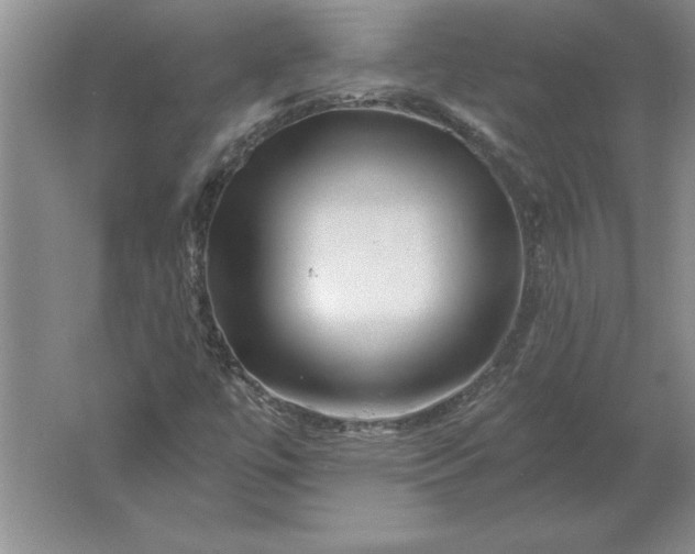 X0000061731447200512161609