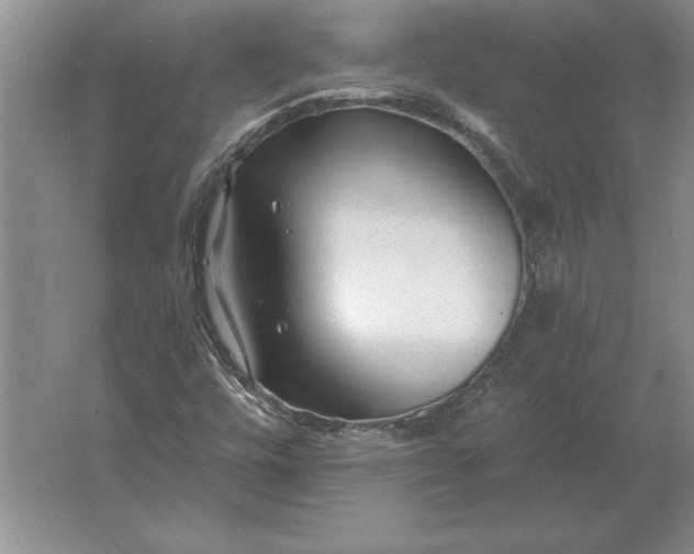 X0000061731448200512161609