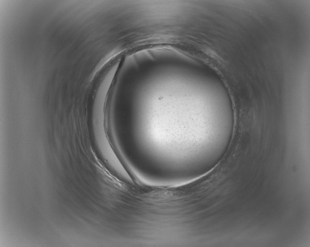 X0000061731450200512161609