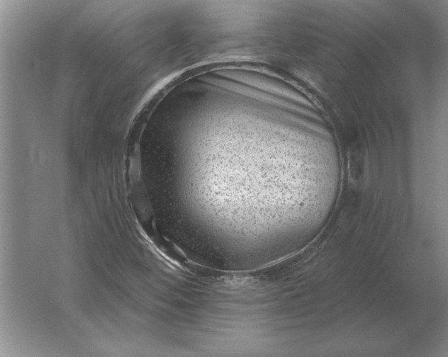 X0000061731452200512161609