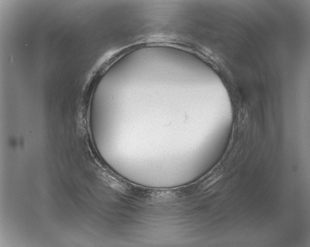 X0000061731454200512161609