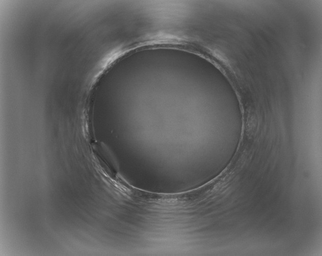 X0000061731455200512161609