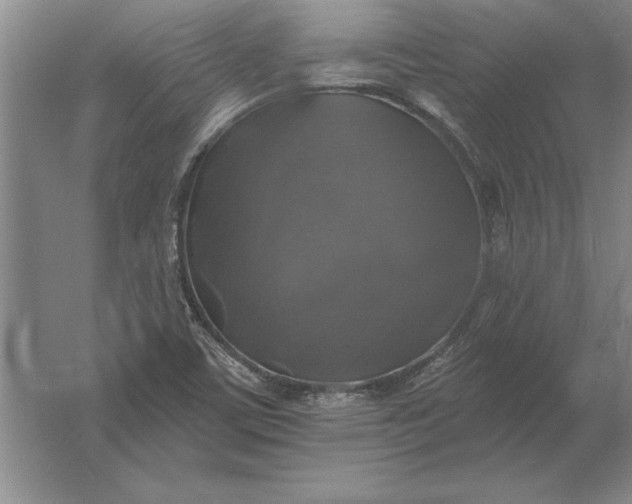 X0000061731459200512161609