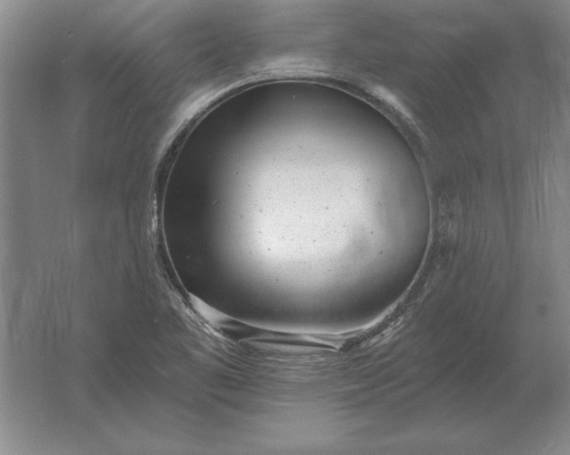 X0000061731461200512161609