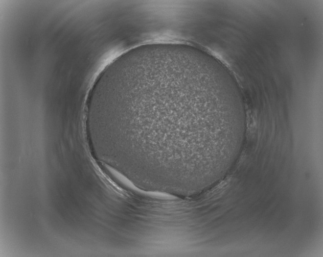 X0000061731463200512161609