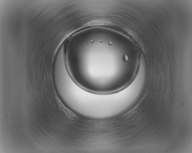 X0000061731465200512161609