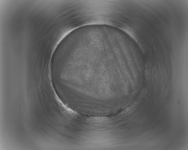 X0000061731468200512161609